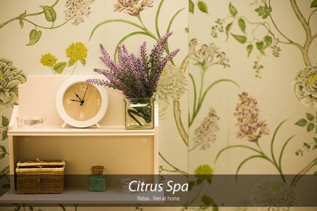 Imagem da loja: Citrus SPA